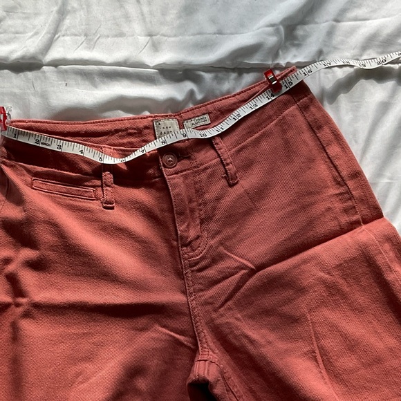 Pink Straight leg Pant - Picture 6 of 7